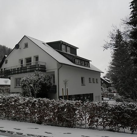 Ferienwohnung Haus Kloosterman Winterberg Extérieur photo