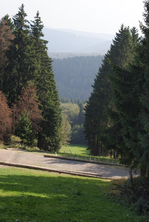 Ferienwohnung Haus Kloosterman Winterberg Extérieur photo