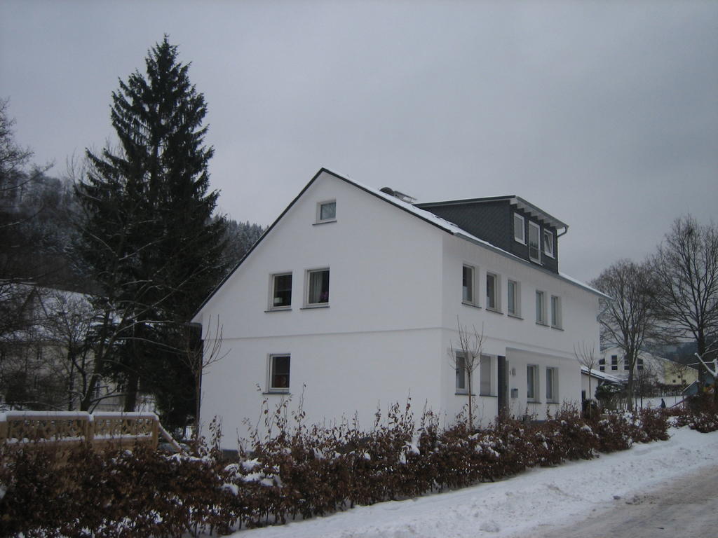 Ferienwohnung Haus Kloosterman Winterberg Extérieur photo